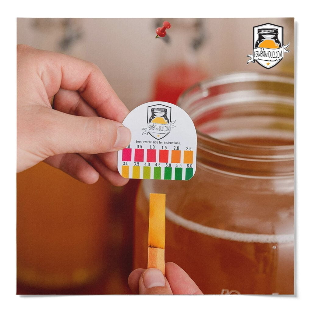 Kombucha Ph