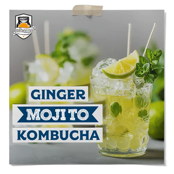 Ginger Mojito Kombucha