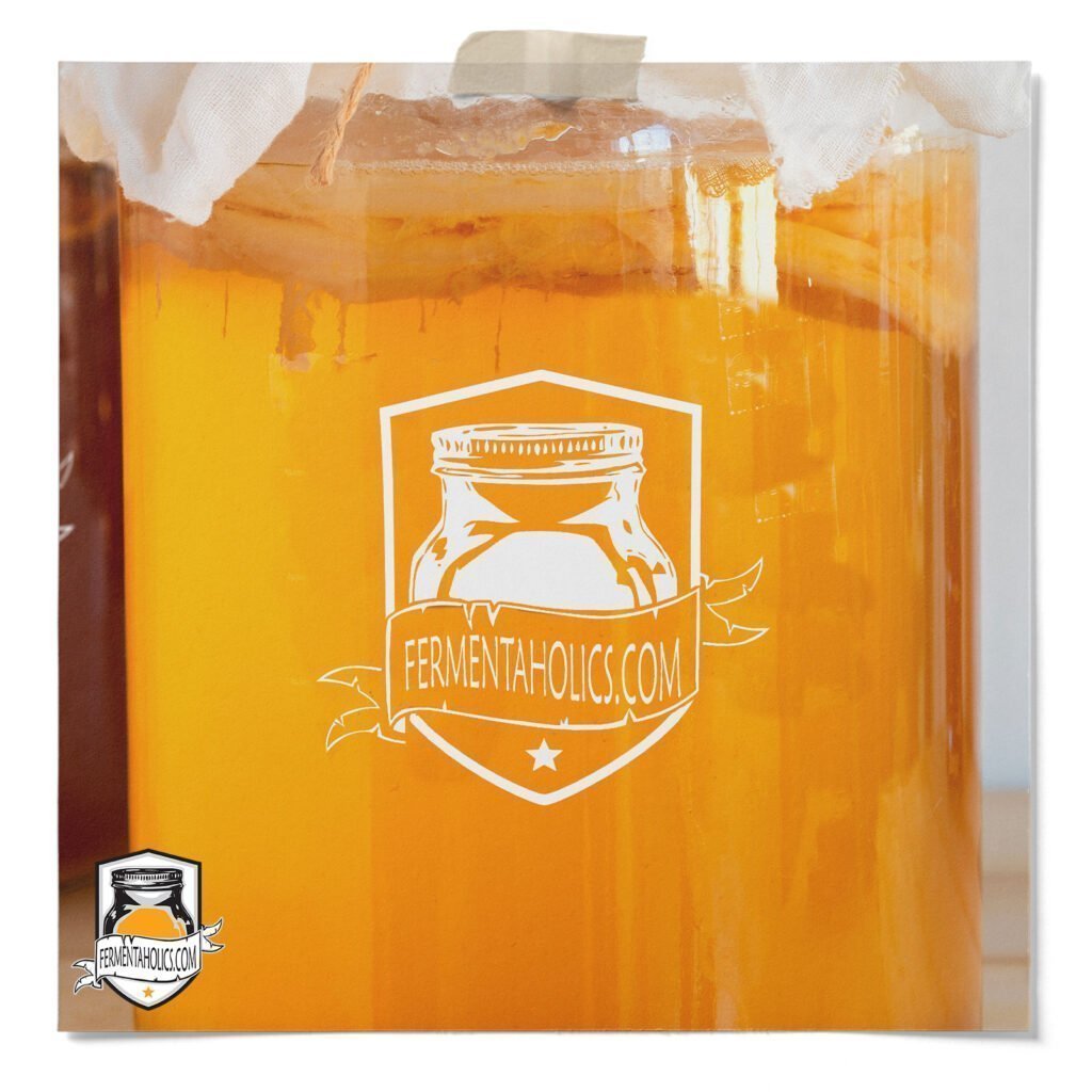 Kombucha Starter