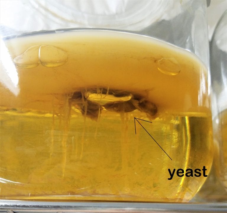 20170509 144010 2 768X720 1