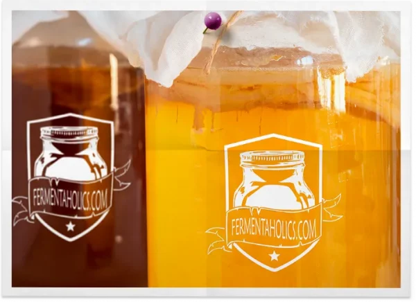 Extra Large Kombucha Scoby