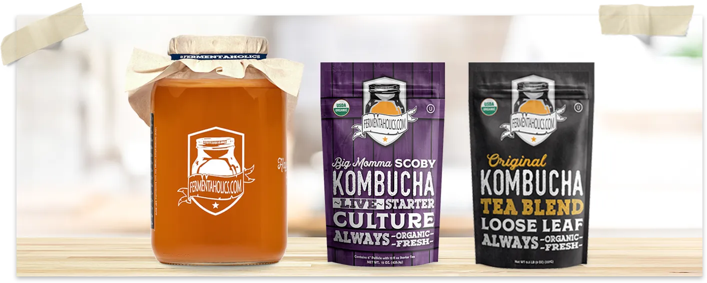 Large Kombucha Scoby