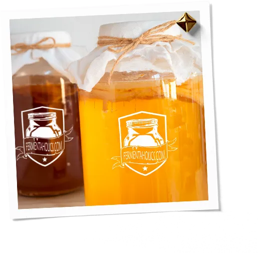 Extra Large Usda Scoby Kombucha