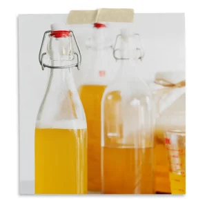 Home Kombucha Kit