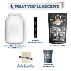 Organic Kombucha Brewing Essentials Kit