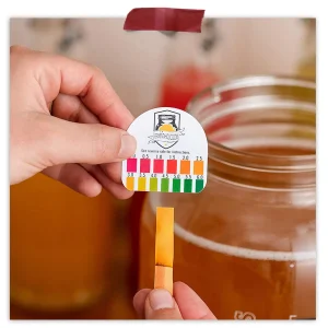 Dry Kombucha Kit