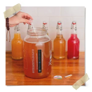 Dry Kombucha Making Kit