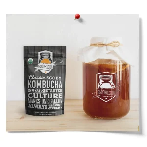 Kombucha Mother