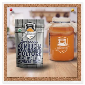 Jun Kombucha Brew Kit