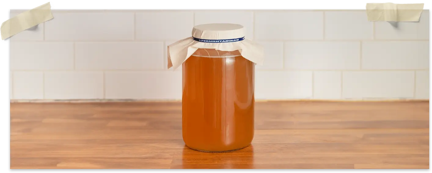 One Gallon Glass Jar Set