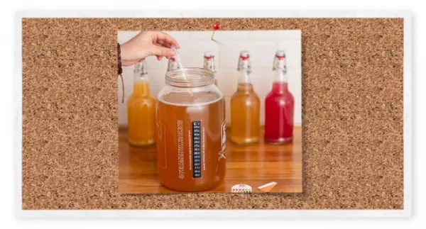 Gallon Glass Jar Set