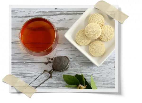 Water Kombucha Organic Tea Blend