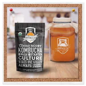 Home Brewing Kombucha Kit