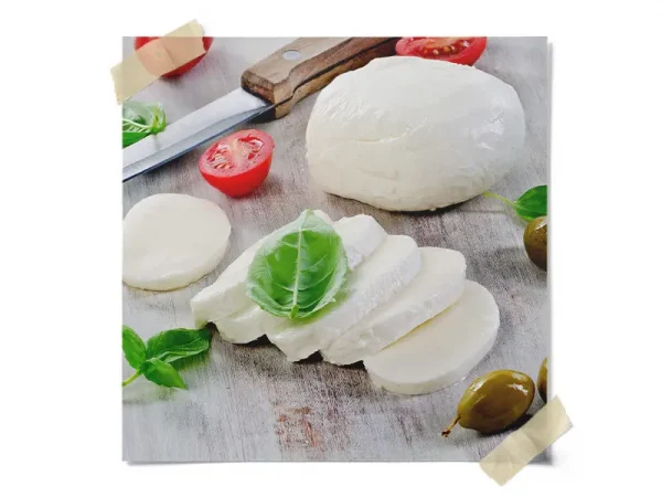 Do-It-Yourself Cheesemaking Kit