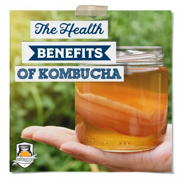Health Benefits Of Kombucha