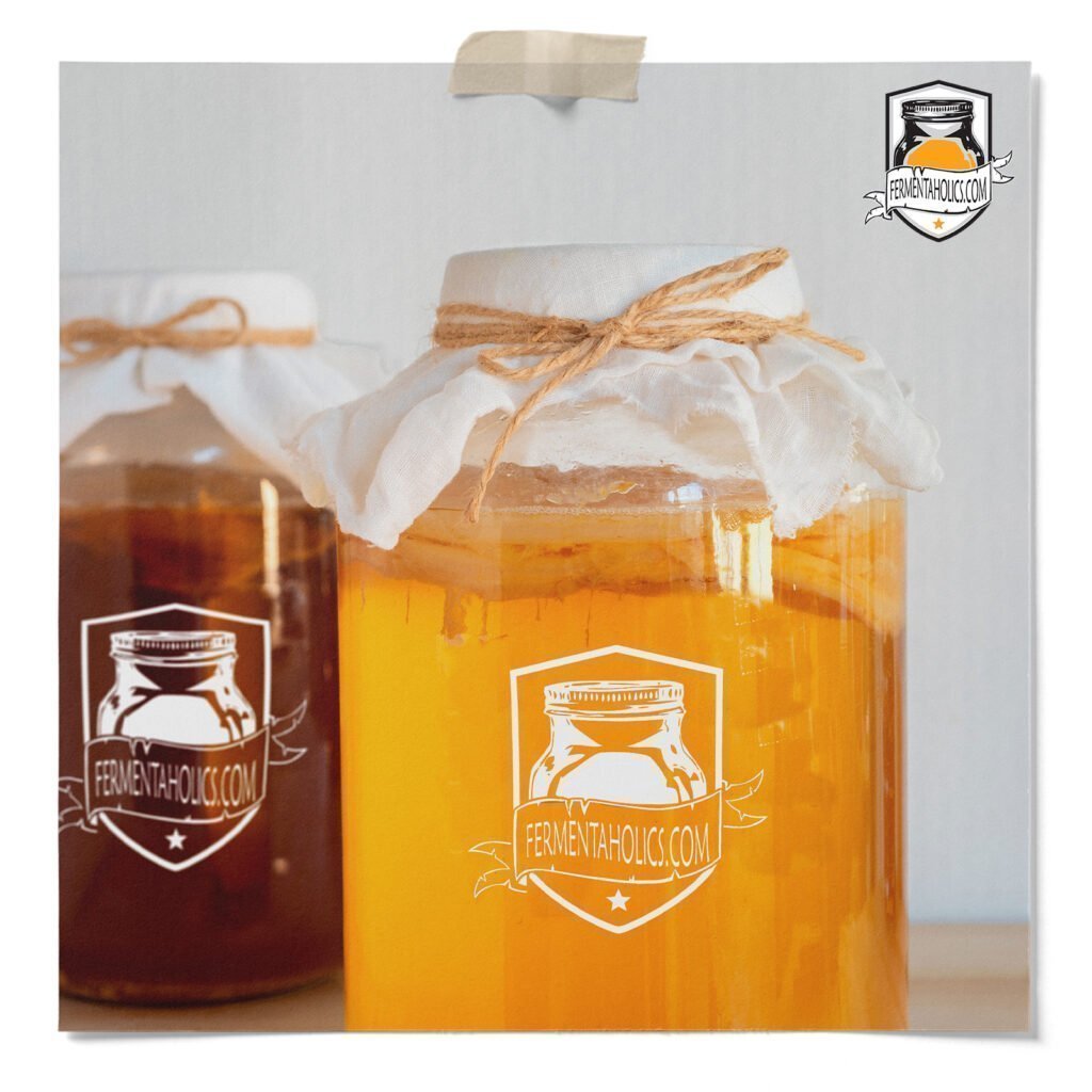 Green Tea Kombucha
