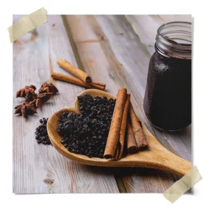 Dried Elderberry Kit