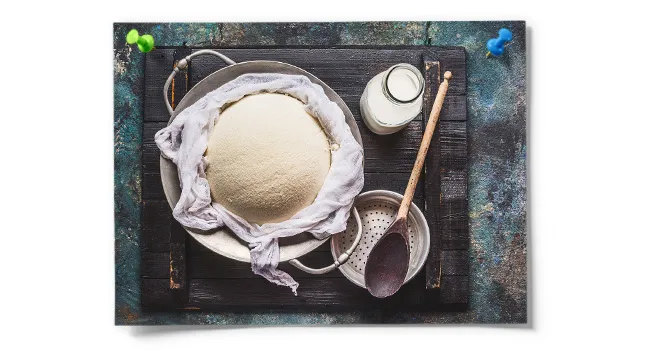 Liquid Microbial Rennet For Cheese Making