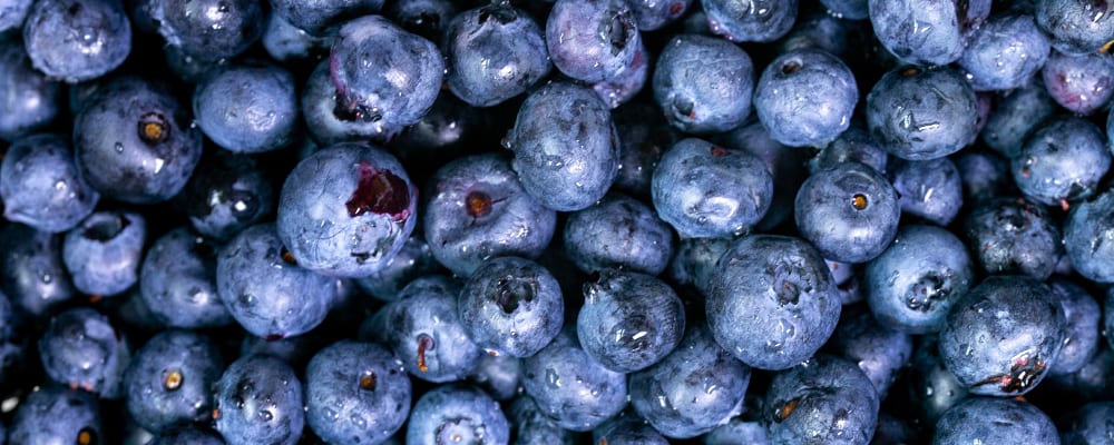 Blueberries