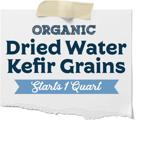 Dried Water Kefir