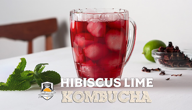 Hibiscus Lime Kombucha Recipe