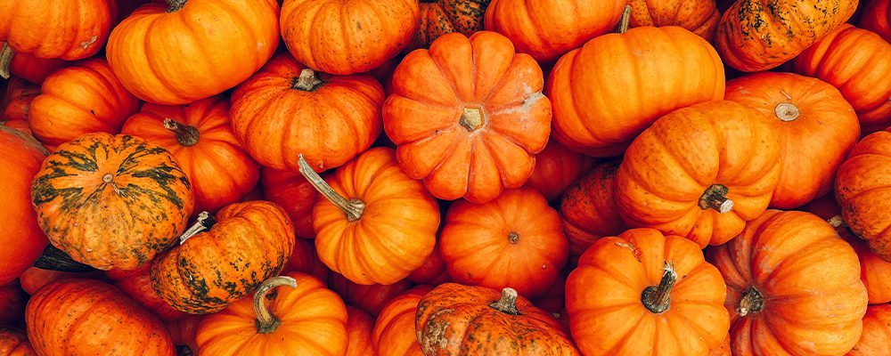 Pumpkin Spice Kombucha