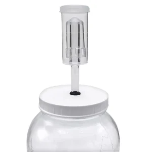 Airlock Cleaner