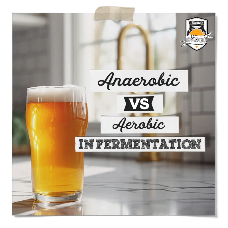 Anaerobic vs Aerobic in Fermentation