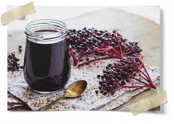 Diy Elderberry Syrup
