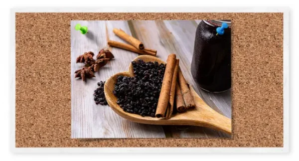 Elderberry Syrup Ingredients