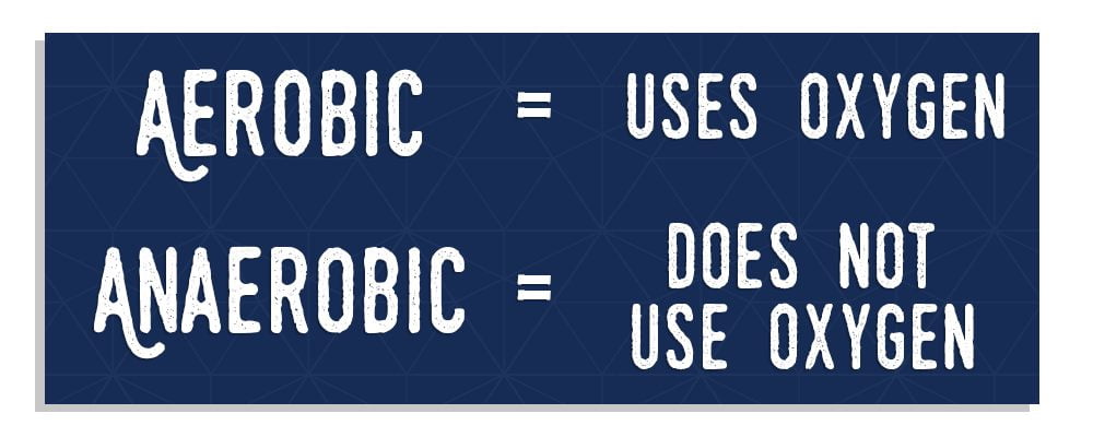 Anaerobic Vs Aerobic