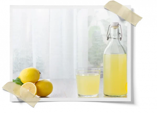 Dried Water Kefir Kit