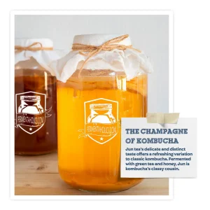 Kombucha Starter Kit
