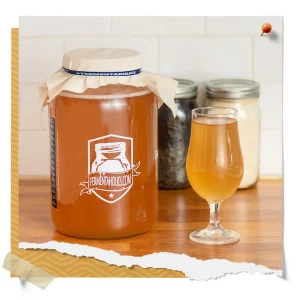Half Gallon Kombucha SCOBY Starter