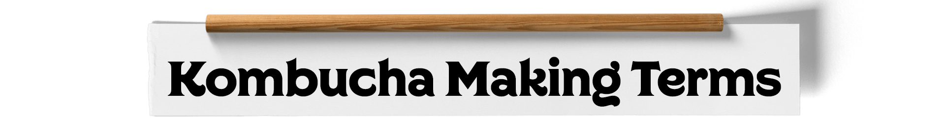 Kombucha Making Glossary Of Terms