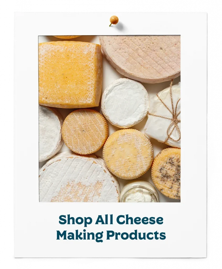 Shop All Cheese Making Products