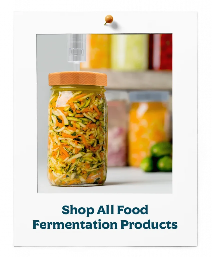 Shop All Food Fermentation Products
