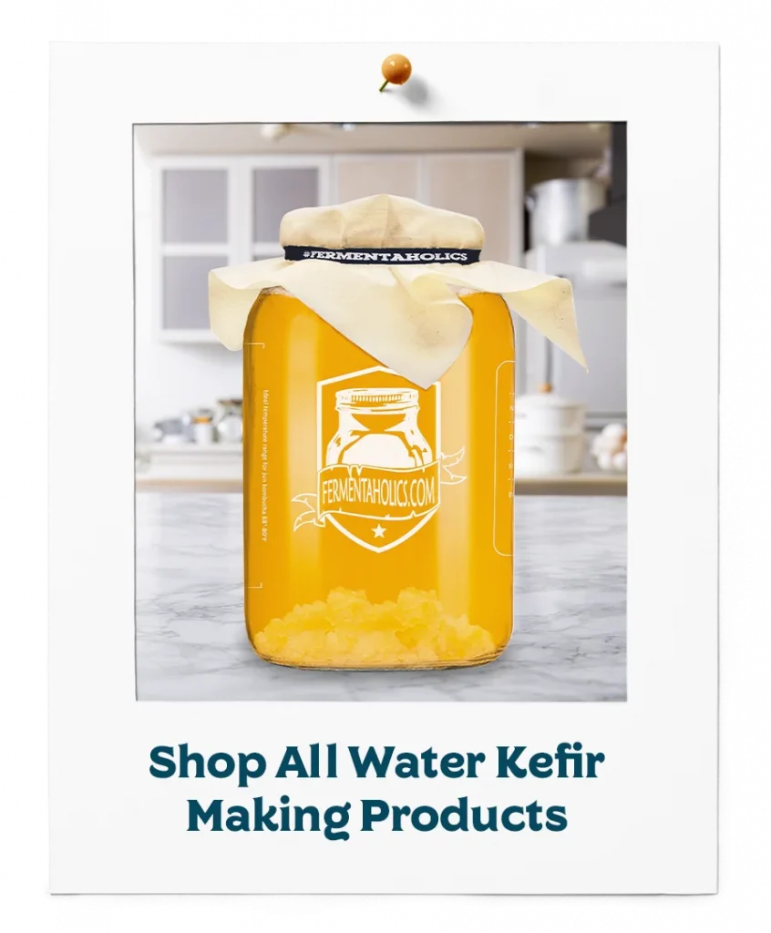 Shop All Water Kefir Making Products