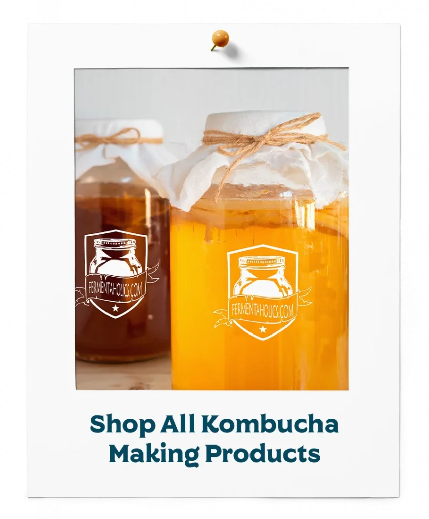 Shop All Kombucha Making Products