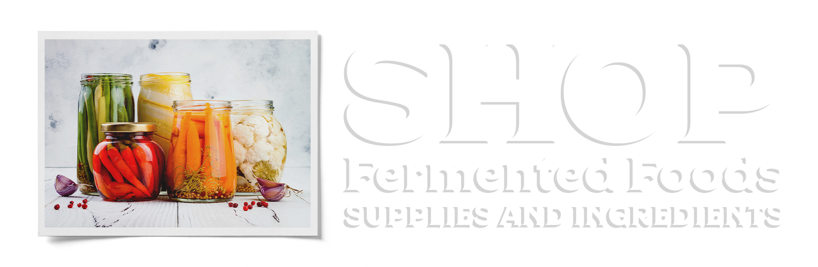 Fermentedfoods Copy