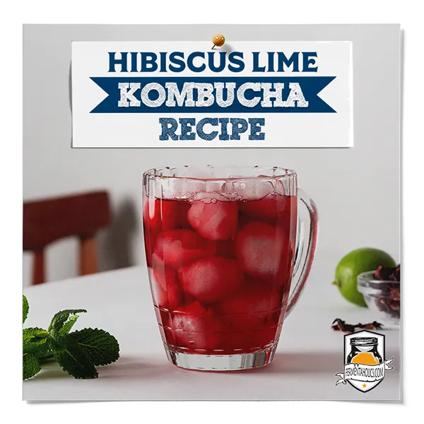 Hibiscus Lime Kombucha Recipe