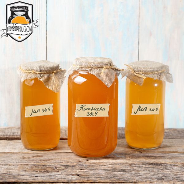 Jun Kombucha Brewing Jars 600X600 1