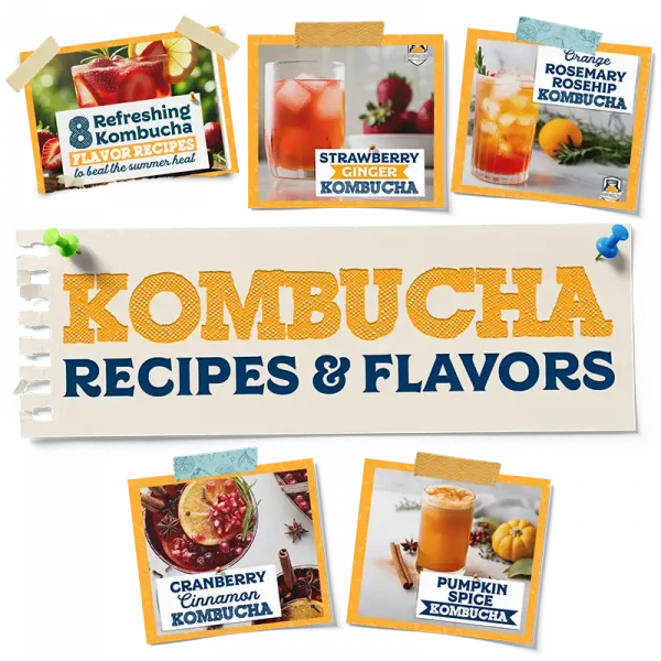 Kombucha Recipes And Flavors