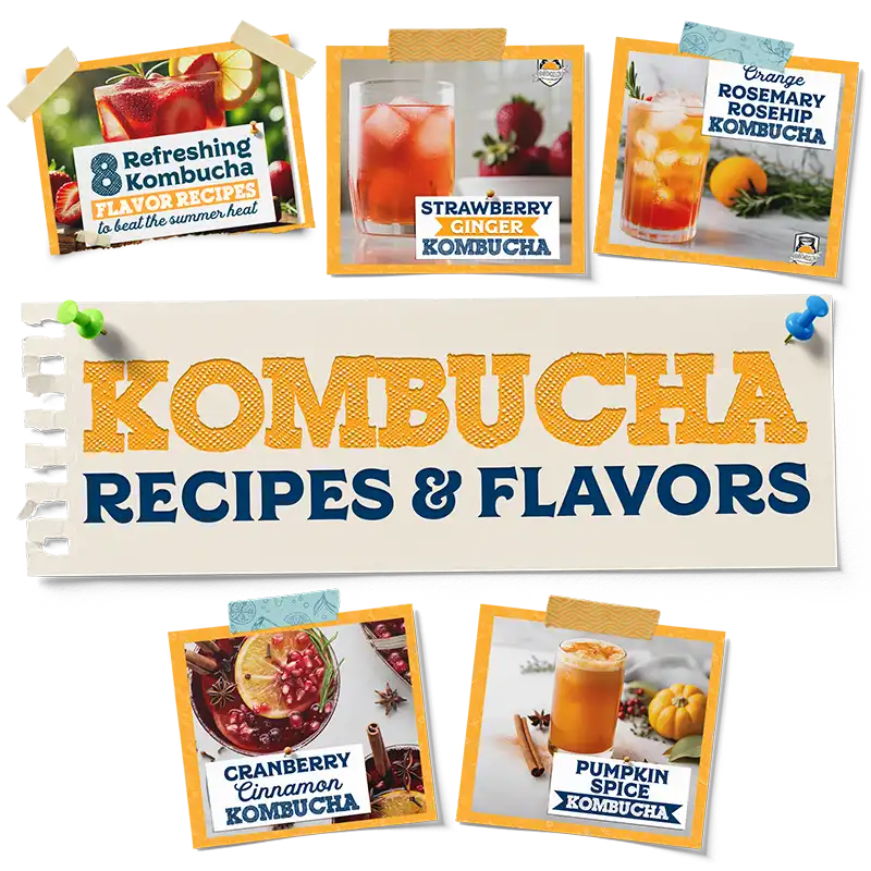 Kombucha Recipes And Flavors