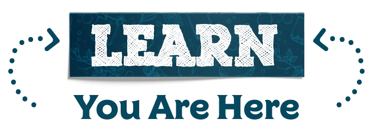 Learn Youarehere