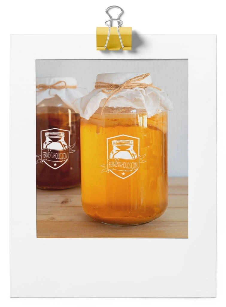 Kombucha Making