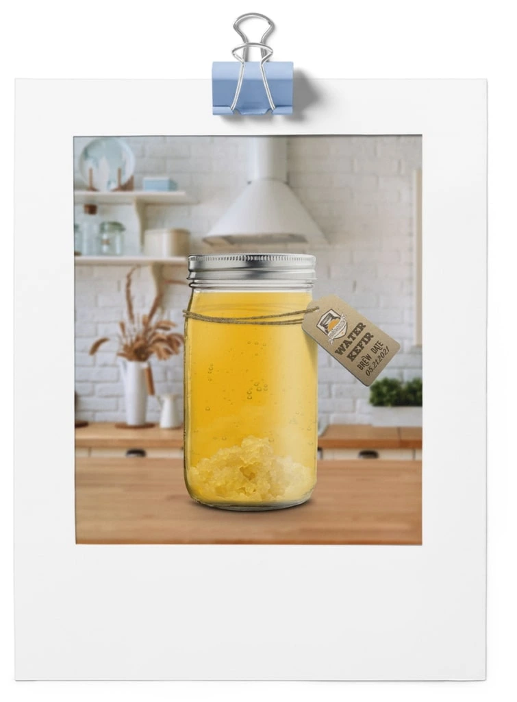 Water Kefir Making