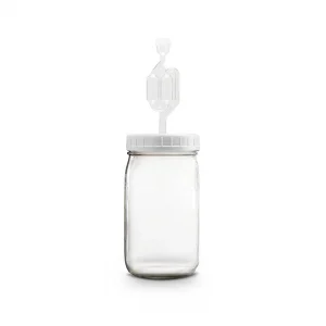 Mason Jar Fermentation Lid