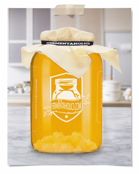 Fermentaholics Water Kefir