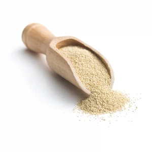 SafAle S-04 Yeast